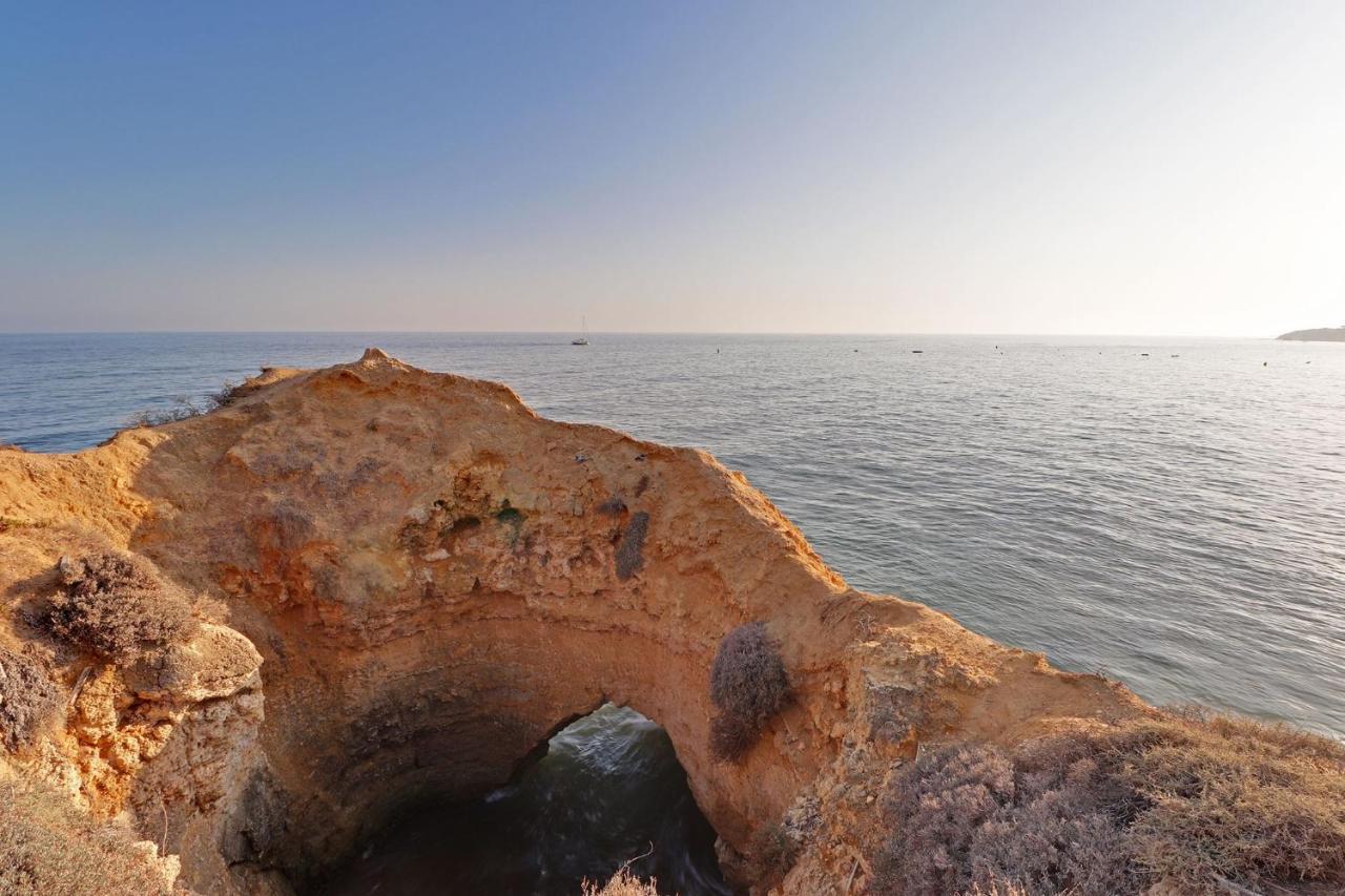 Albufeira Typical With Pool By Homing Lägenhet Exteriör bild